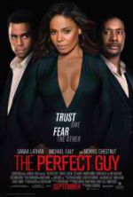 Watch The Perfect Guy Putlocker