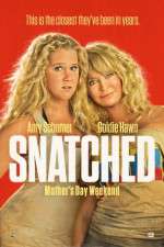 Watch Snatched Putlocker