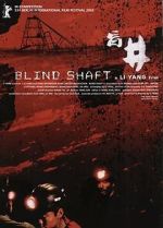 Watch Blind Shaft Putlocker
