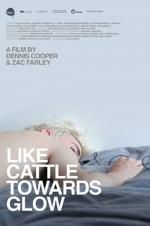 Watch Like Cattle Towards Glow Putlocker
