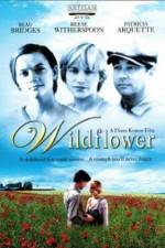 Watch Wildflower Putlocker