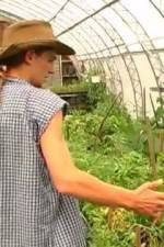 Watch Green House Seeds Strain Hunters India Expedition Putlocker