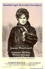 Watch Summer Wishes, Winter Dreams Putlocker