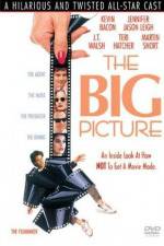 Watch The Big Picture Putlocker
