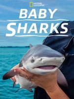 Watch Baby Sharks Putlocker