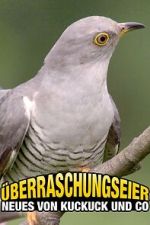 Watch Überraschungseier: Neues von Kuckuck und Co. Putlocker
