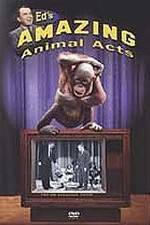 Watch Ed's Amazing Animal Acts Putlocker