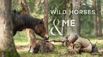 Watch Wild Horses, the Rockies and Me (TV Special 2025) Putlocker