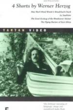 Watch La Soufria?re - Waiting For An Inevitable Disaster Putlocker