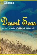 Watch Desert Seas Putlocker