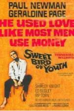 Watch Sweet Bird of Youth Putlocker