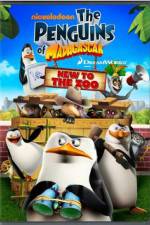 Watch Penguins of Madagascar New to the Zoo Putlocker