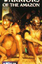 Watch Lost Treasures of Tibet Putlocker