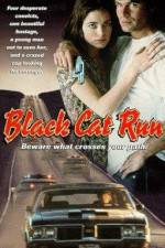 Watch Black Cat Run - Tödliche Hetzjagd Putlocker