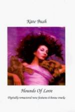 Watch 8 Million Ways to Die Putlocker