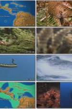 Watch National Geographic:  Worlds Deadliest Animals - North America Putlocker