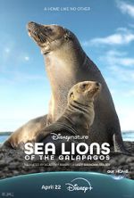 Watch Sea Lions of the Galapagos (TV Special 2025) Putlocker
