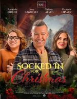 Watch The Great Christmas Snow-In Putlocker