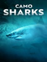 Watch Camo Sharks Putlocker