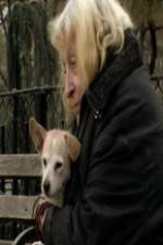 Watch Water in the Boat Putlocker