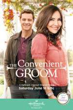 Watch The Convenient Groom Putlocker