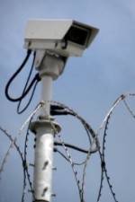 Watch Out Of Jail And On The Streets Putlocker