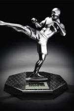 Watch World MMA Awards 2010 Putlocker