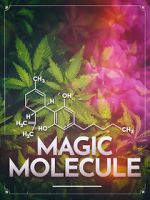 Watch Magic Molecule Putlocker