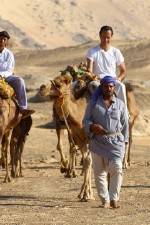 Watch Secrets Of The Arabian Nights Putlocker