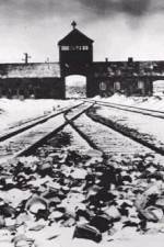 Watch AUSCHWITZ: CORRUPTION Putlocker