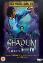 Watch Shao Lin zhen gong fu Putlocker
