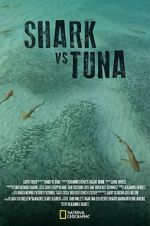 Watch Shark vs Tuna Putlocker