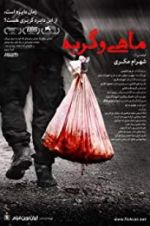 Watch Fish & Cat Putlocker