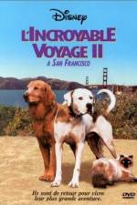 Watch Homeward Bound II Lost in San Francisco Putlocker