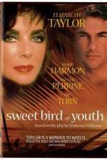 Watch Sweet Bird of Youth Putlocker