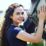 Watch Wildfire: The Legend of the Cherokee Ghost Horse Putlocker