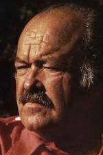 Watch The Return of Frank Cannon Putlocker