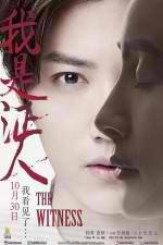 Watch The Witness Putlocker