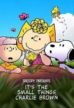 Watch Snoopy Presents: It's the Small Things, Charlie Brown (TV Special 2022) Putlocker