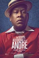 Watch The Gospel According to André Putlocker