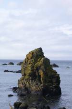 Watch Mad Little Island Putlocker