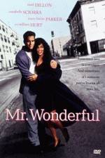 Watch Mr Wonderful Putlocker