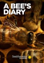 Watch A Bee\'s Diary (TV Special 2022) Putlocker