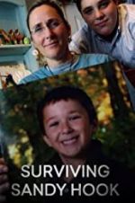 Watch Surviving Sandy Hook Putlocker