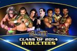 Watch WWE Hall of Fame Putlocker