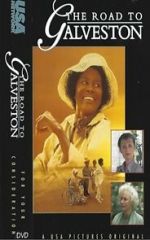 Watch The Road to Galveston Putlocker