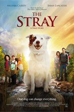 Watch The Stray Putlocker