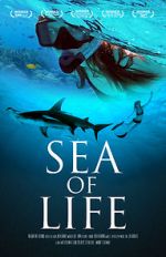 Watch Sea of Life Putlocker