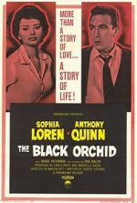 Watch The Black Orchid Putlocker