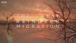 Watch All Aboard! The Great Reindeer Migration Putlocker